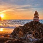 Feng Shui Fiori Secchi E Finti armonia con fiori secchi e finti per una casa equilibrata e positiva