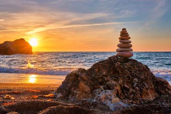 Feng Shui Fiori Secchi E Finti 1 armonia con fiori secchi e finti per una casa equilibrata e positiva