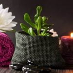 Feng Shui Frecce Avvelenate feng shui frecce avvelenate