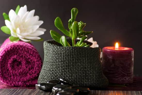 Feng Shui Frecce Avvelenate 1 feng shui frecce avvelenate