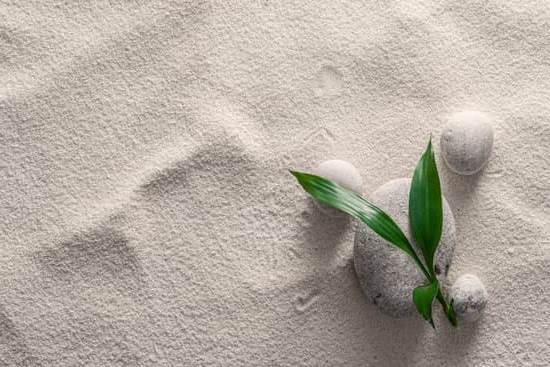 Feng Shui Per Negozi 1 Massimizza il flusso di energia positiva con il Feng Shui per negozi