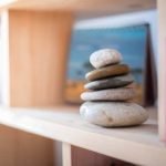 Feng Shui La Volpe Elemento la volpe elemento porta armonia e fortuna