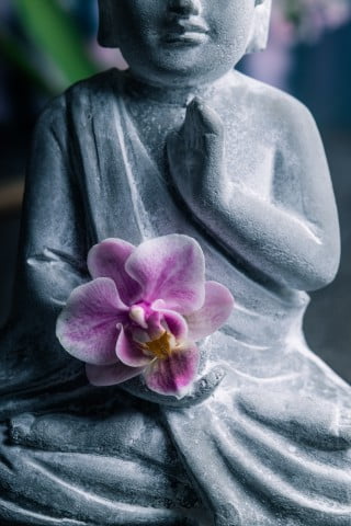 Feng Shui Nascita 1 Scopri come utilizzare il Feng Shui Nascita per migliorare il benessere in casa e nella vita quotidiana