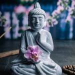 Feng Shui Il Segreto Cinese Del Benessere E Dell'Armonia Applica il Feng Shui per migliorare il benessere e l'armonia