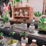 Feng Shui Giappone feng shui giappone