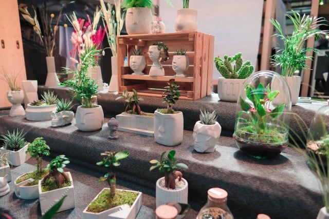 Feng Shui Giappone 1 feng shui giappone