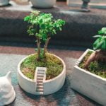 Feng Shui Per La Coppia applica il Feng Shui per migliorare la relazione