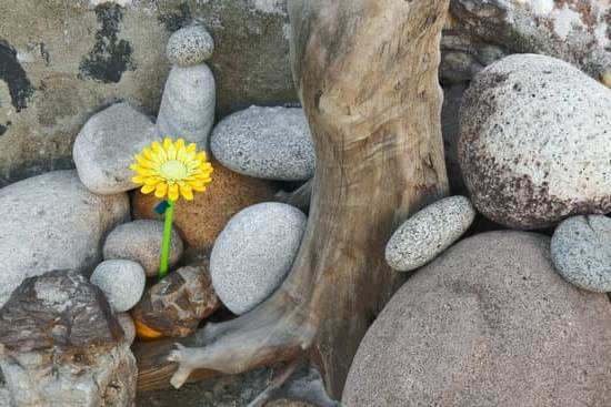 Feng Shui Lissone 1 armonia e benessere nella tua casa