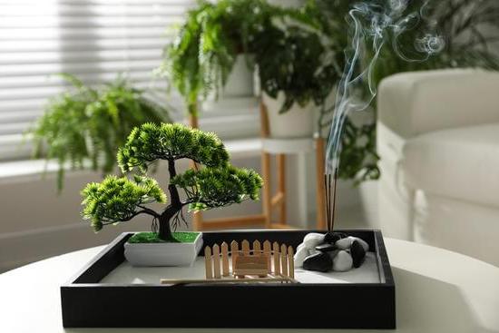 Feng Shui Lalbero Delle Moneete 1 Utilizza l'arte del Feng Shui per attrarre la prosperità con l'albero delle monete