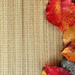 Feng Shui Foto D a Mettere Sole O in Coppia Posiziona immagini di Feng Shui in coppia per un'armoniosa energia nella tua casa