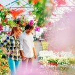 Feng Shui Originale Scopri i segreti del vero FENG SHUI ORIGINALE per armonizzare la tua casa e la tua vita
