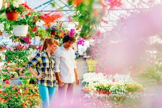 Feng Shui Originale 1 Scopri i segreti del vero FENG SHUI ORIGINALE per armonizzare la tua casa e la tua vita