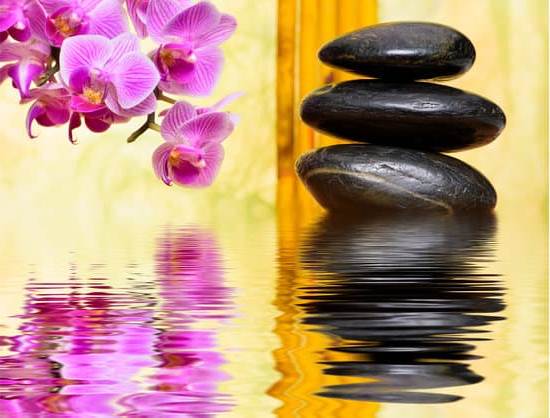 Feng Shui Per Ricchezza 1 massimizza l'energia positiva nella tua casa