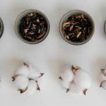 Feng Shui Negli Hotel applica il Feng Shui negli hotel per un'esperienza unica