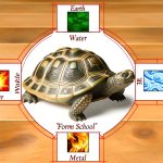 Feng Shui Scuola Forma Tartaruga Applica i principi del Feng Shui Scuola Forma Tartaruga per armonizzare gli spazi con energia positiva