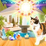 Fengh Shui Potere Del Gatto in Casa massimizza il potere del gatto in casa