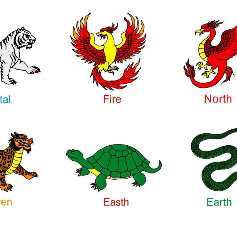 Armonizzare gli spazi con i cinque animali e gli elementi del Feng Shui per una casa equilibrata