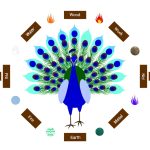 Il Pavone Per Il Feng Shui Porta Bene Il pavone simbolo di fortuna e prosperità secondo il Feng Shui. Manifesta il suo potere positivo nella tua casa